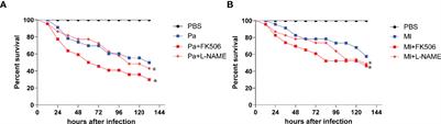 Nitric Oxide-Induced Calcineurin A Mediates Antimicrobial Peptide Production Through the IMD Pathway